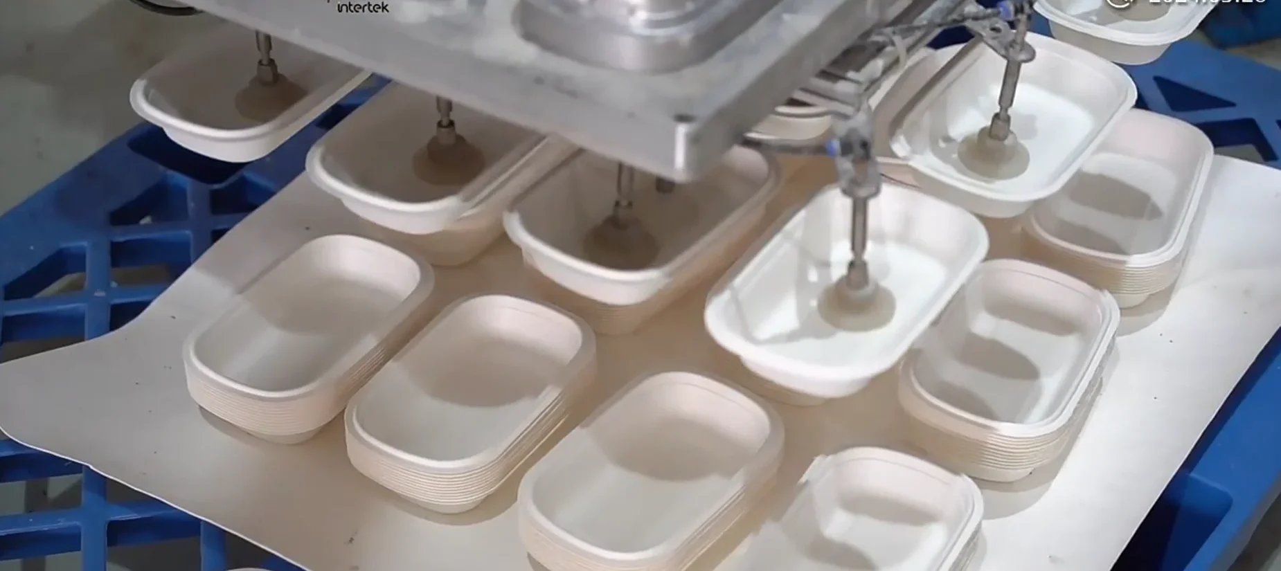 Picture of JiuTong corn starch tableware and sugarcane tableware production factory (4)